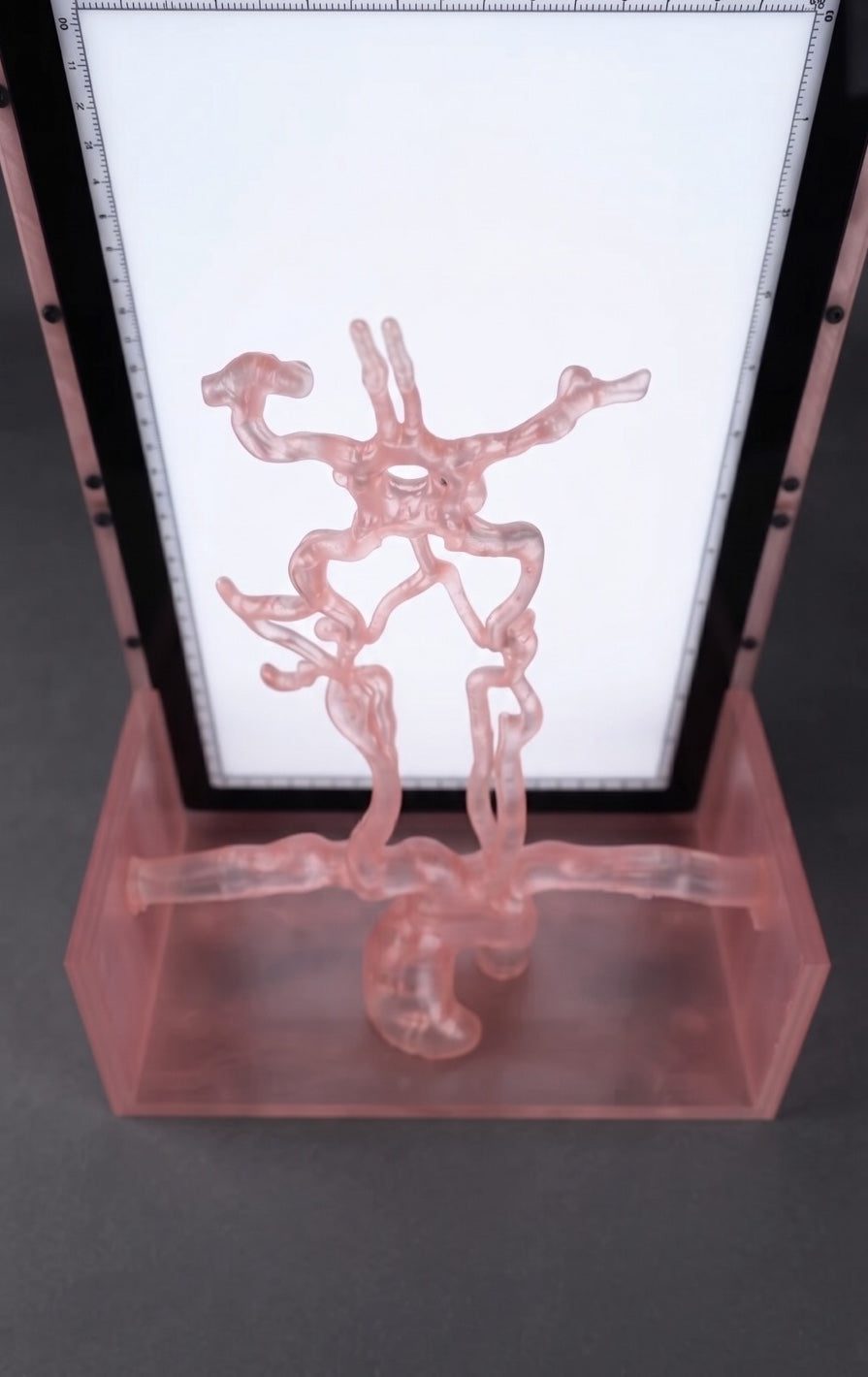 Neuro Angiolab