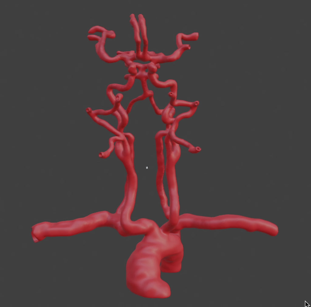 Neuro Angiolab